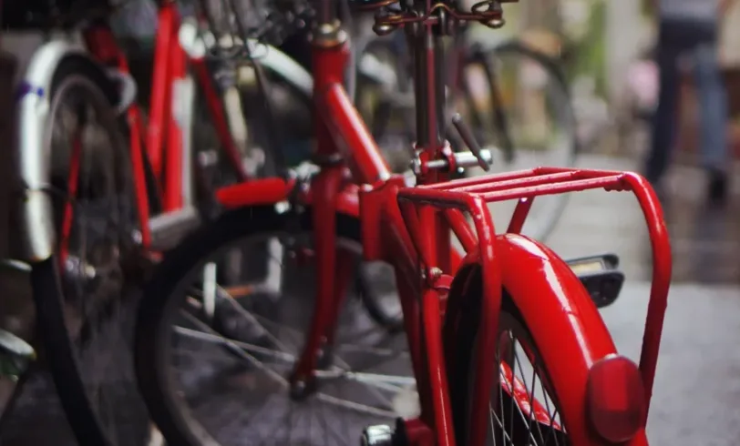 Bike Speedwell